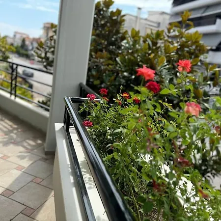 Sunny And Spacious Luxury House