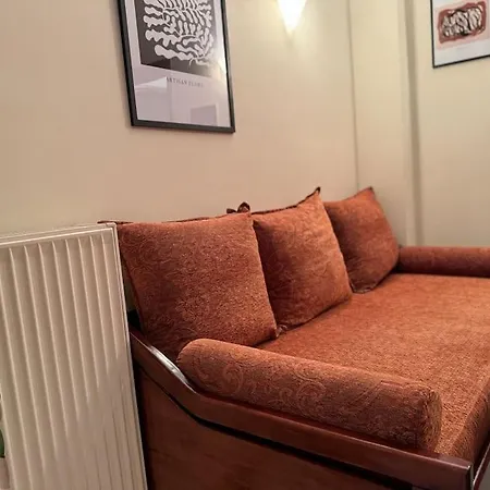 Sunny And Spacious Luxury House