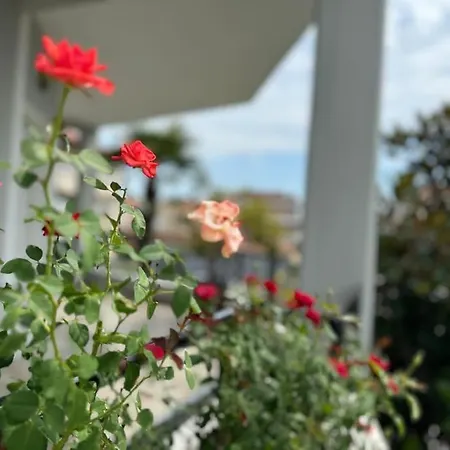 Sunny And Spacious Luxury House *