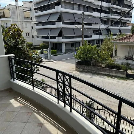 Sunny And Spacious Luxury House