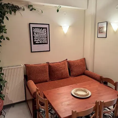 Sunny And Spacious Luxury House