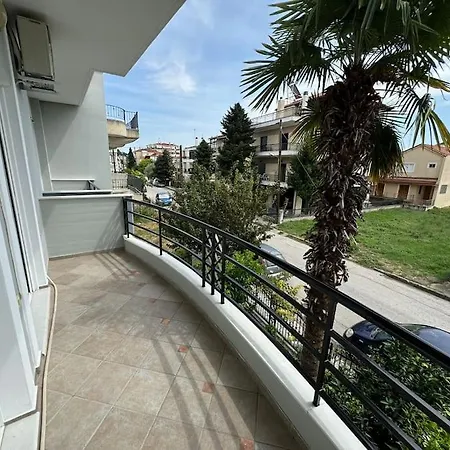 Sunny And Spacious Luxury House